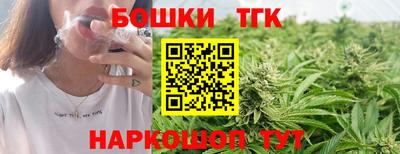 индика Жуковский