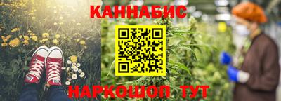 индика Жуковский
