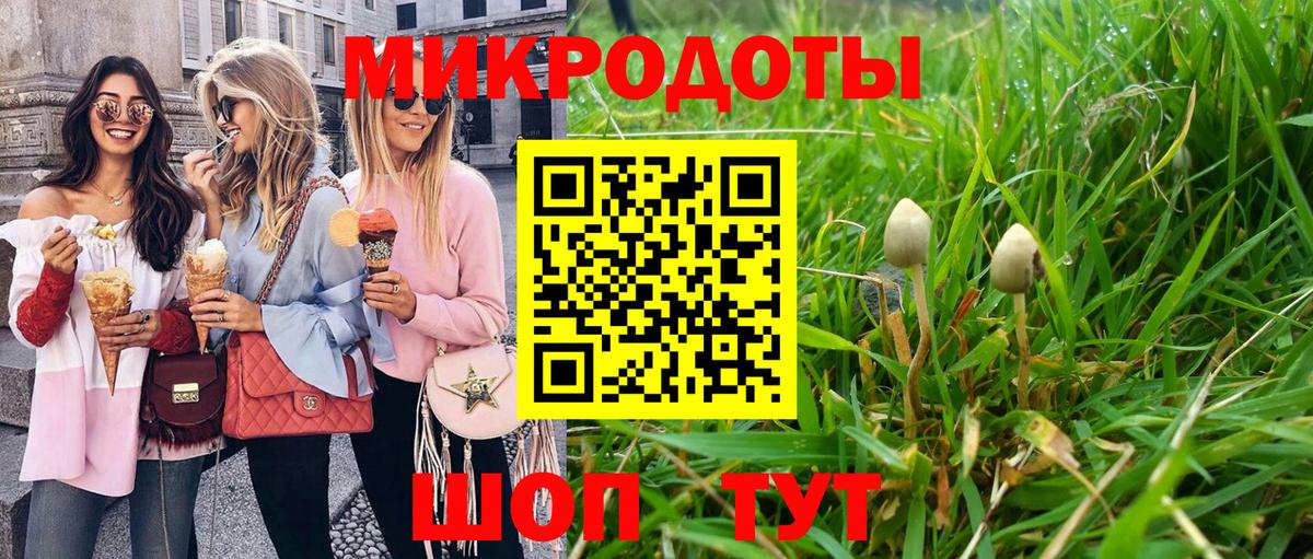 Псилоцибиновые грибы мицелий Минусинск